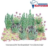 Borderpakket 'Kruidentuintje' - 4 verschillende kruiden - 12 planten - 2 m²