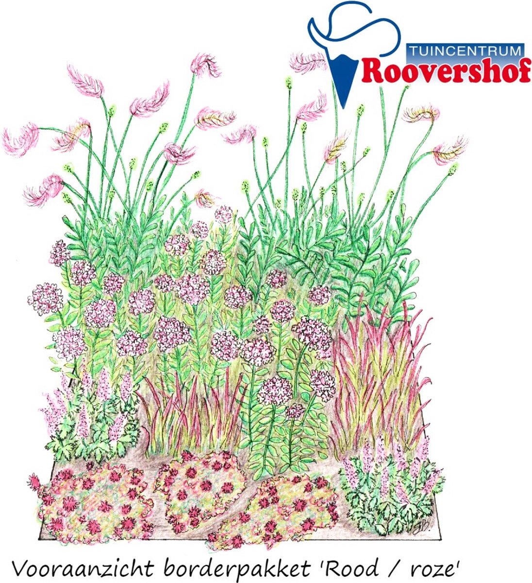 Borderpakket 'Rood & roze border' - rood en roze bloeiend - 15 planten - 3 m²
