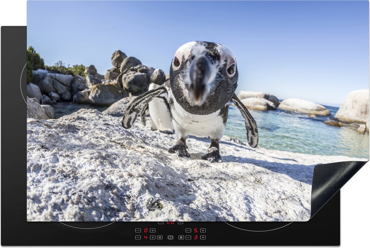 KitchenYeah® Inductie beschermer 81.2x52 cm - Close-up van een Pinguïn op Boulders Beach - Kookplaataccessoires - Afdekplaat voor kookplaat - Inductiebeschermer - Inductiemat - Inductieplaat mat