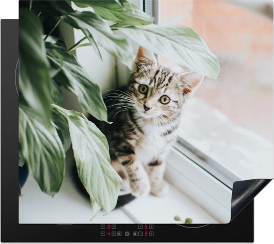 KitchenYeah® Inductie beschermer 60x52 cm - Kat - Kitten - Planten - Kookplaataccessoires - Afdekplaat voor kookplaat - Inductiebeschermer - Inductiemat - Inductieplaat mat