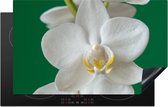 KitchenYeah® Inductie beschermer 85x52 cm - Orchidee met groene achtergrond - Kookplaataccessoires - Afdekplaat voor kookplaat - Inductiebeschermer - Inductiemat - Inductieplaat mat