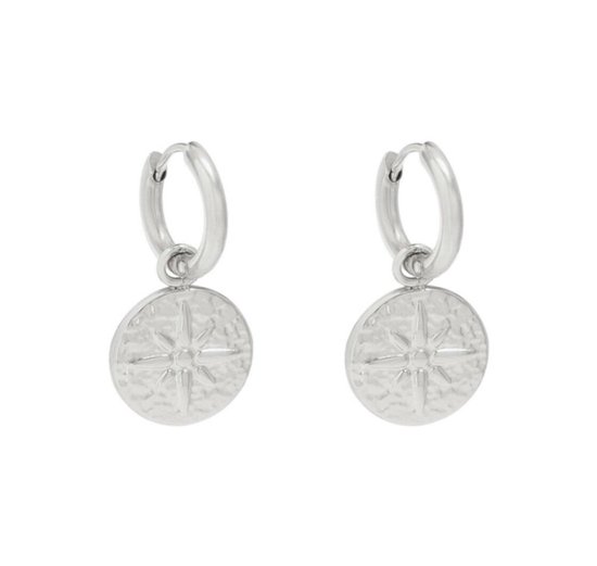 Luxe Oorbellen Sprankle star munt - earrings - met bedel - kleur zilver - stainless steel - nikkel free - moederdag cadeau tip - kado-idee - prachtig