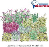 Borderpakket 'Heester mix' - Planten en struiken - 21 planten - 6 m²