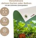 Product afbeelding  10