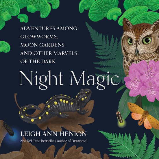Night Magic - cover