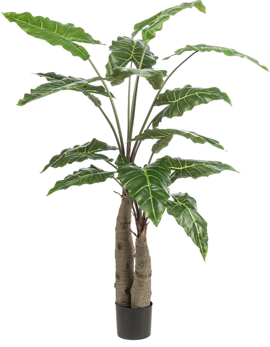 MaatShopXL Kunstplant Alocasia Olifantsoor