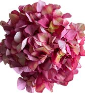 Bloemen hortensia pink