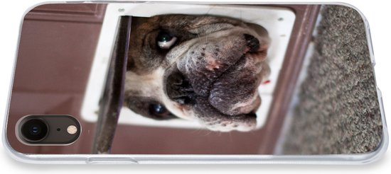 Coque iPhone XR - Chien - Drôle - Laisses pour chats - Siliconen - Sinterklaas - Noël - Cadeaux - Chaussures Cadeaux