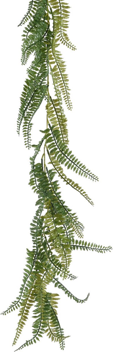 Everlands Planten slinger - varen - kunstplant - groen - 180 cm