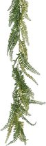 Everlands Planten slinger - varen - kunstplant - groen - 180 cm