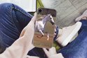PDP.ProductImage.Thumb.Image.srtText 7