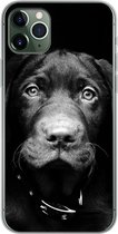 Geschikt voor iPhone 11 Pro Max hoesje - Hond - Licht - Zwart - Siliconen Telefoonhoesje