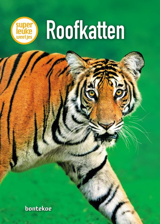 Tijger met oranje vacht en zwarte strepen, kijkend naar de camera op een groene achtergrond.