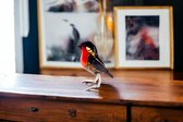 Cadeau de Luxe Vogel en Verres Robin 10 x 11 cm