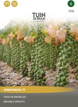 Tuin de Bruijn® zaden - Spruitkool F1 - Tuinderkwaliteit - meest kindvriendelijke spruitjes