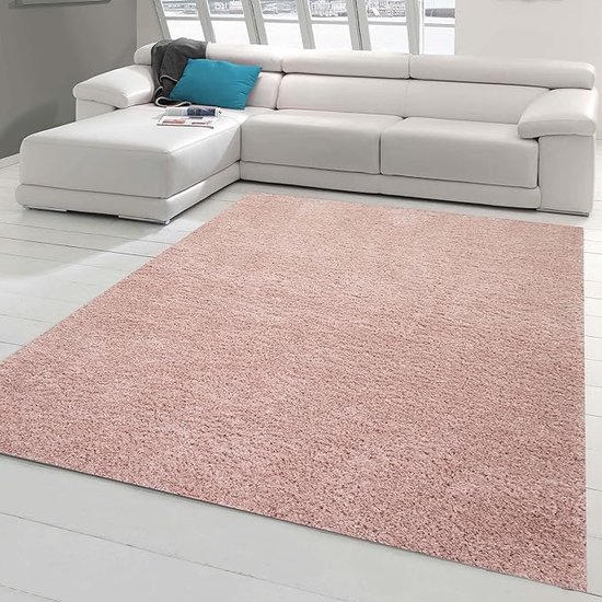 shaggy tapijt in roze maat 120x170