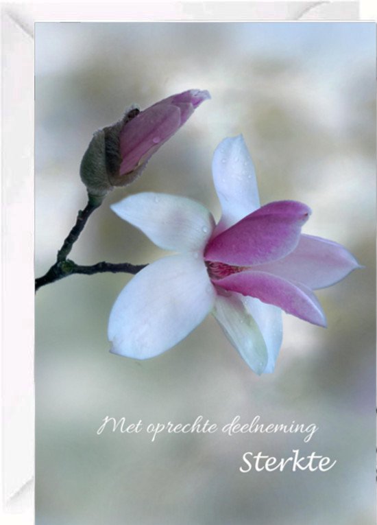 Met oprechte deelneming Sterkte, met een witte en roze magnolia.