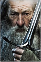 Poster The Hobbit Gandalf 61x91,5cm