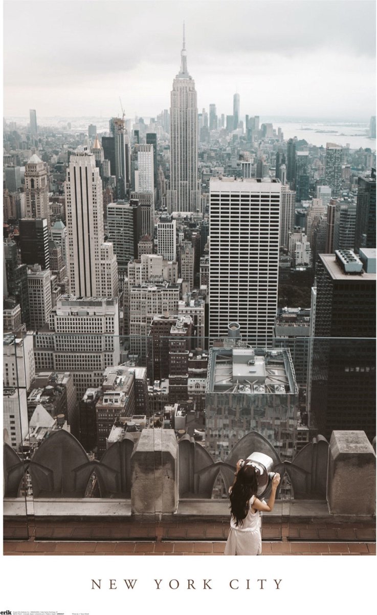Poster New York City Views 61x91,5cm