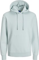 JACK&JONES JORVESTERBRO SWEAT HOOD NOOS Heren Trui - Maat M