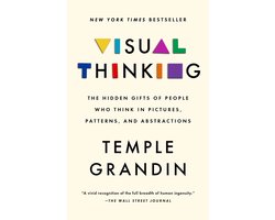 Visual Thinking