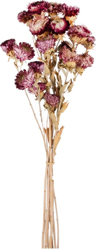 Dekoratief | Droogboeket m/roze bloemen, naturel, 65cm | A240582