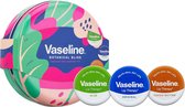 Vaseline Botanical Bliss Kit explorateur Lips pulpeuses - 3 x 20 g
