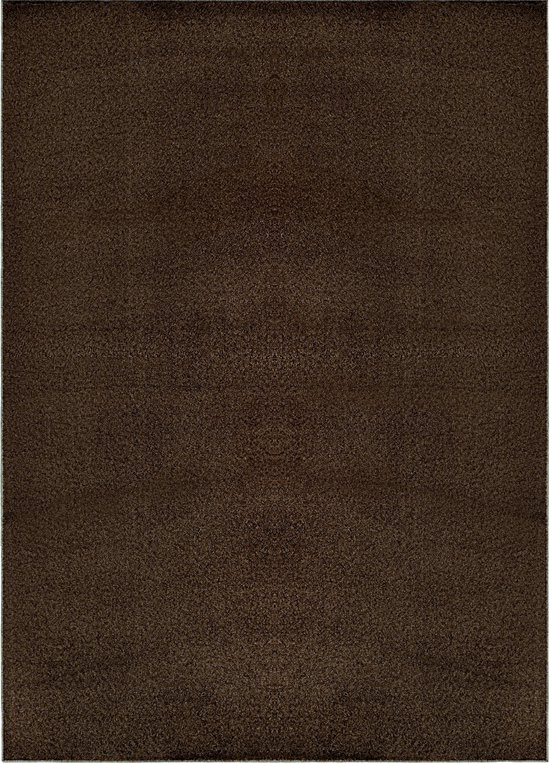 Tapiso Tapis câlin à poils longs marron antidérapant pour salon - 80 x 150 cm