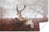 Hert rent door de mist Poster 180x120 cm - Foto print op Poster (wanddecoratie woonkamer / slaapkamer) / Wilde dieren Poster XXL / Groot formaat!