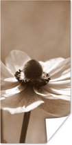 Poster Bloem van anemoon sepia fotoprint - 80x160 cm