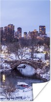 Poster New York - Central Park - Winter - 60x120 cm
