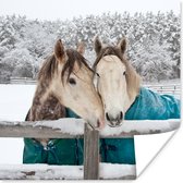 Poster Paarden - Deken - Sneeuw - 30x30 cm