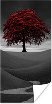 Poster Zwart-wit foto met een rode boom - 60x120 cm