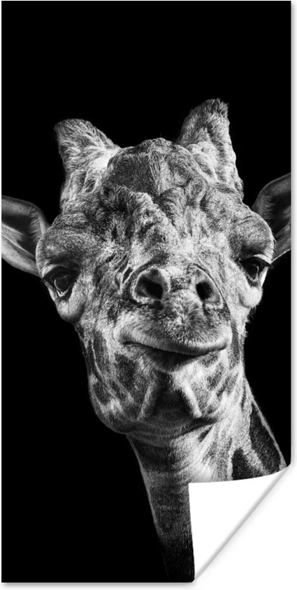 Poster Giraffe - Dier - Zwart - Wit - 75x150 cm