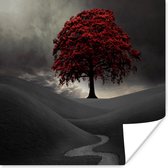 Affiche Une photo en noir et blanc avec un grand arbre rouge - 30x30 cm