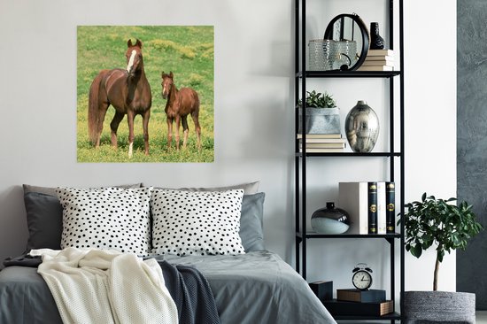 Affiche Paarden - Herbe - Marron - 75x75 cm