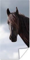 Poster Paarden - Lucht - Portret - 20x40 cm