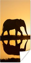 Poster Silhouet van een olifant bij zonsondergang - 60x120 cm