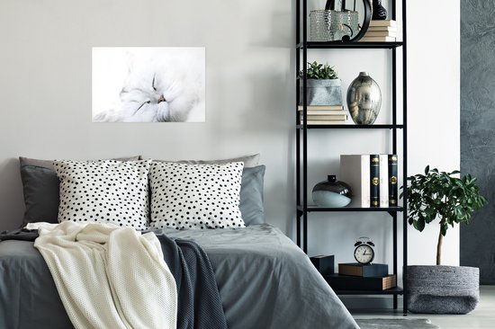 Poster 30x20 cm - Kat - Wit - Close up - Posters - Kamer decoratie - Wanddecoratie woonkamer - Muurdecoratie slaapkamer