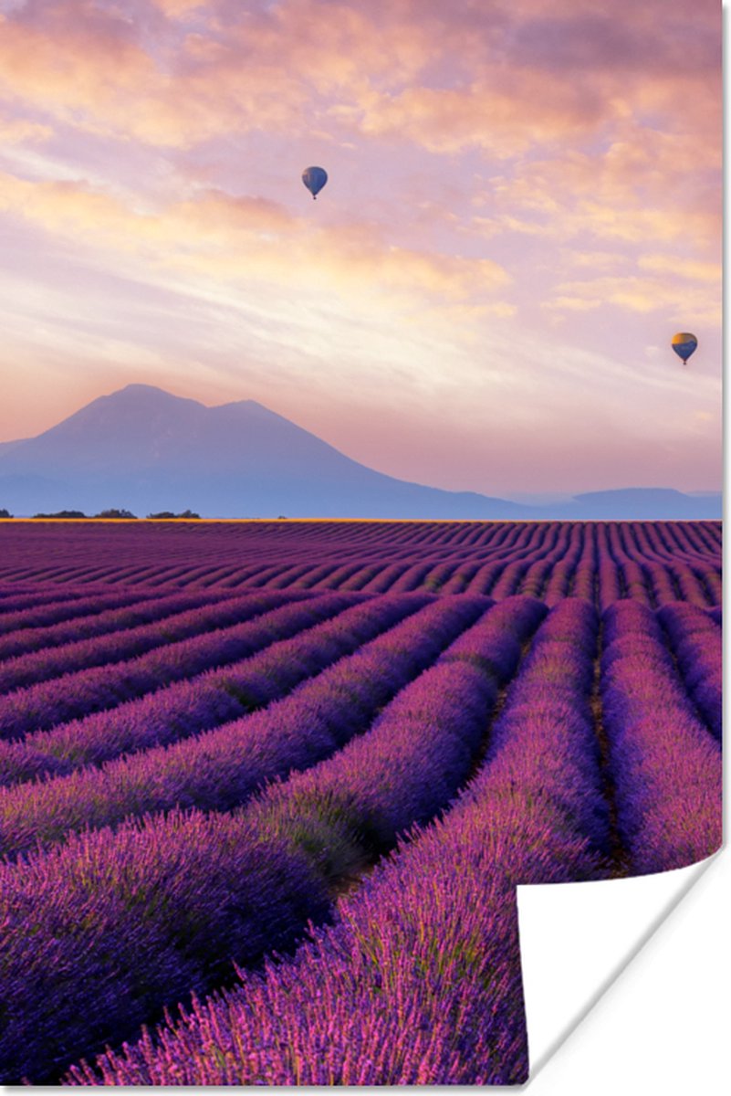 Poster Lavendel - Luchtballon - Berg - Paars - 60x90 cm