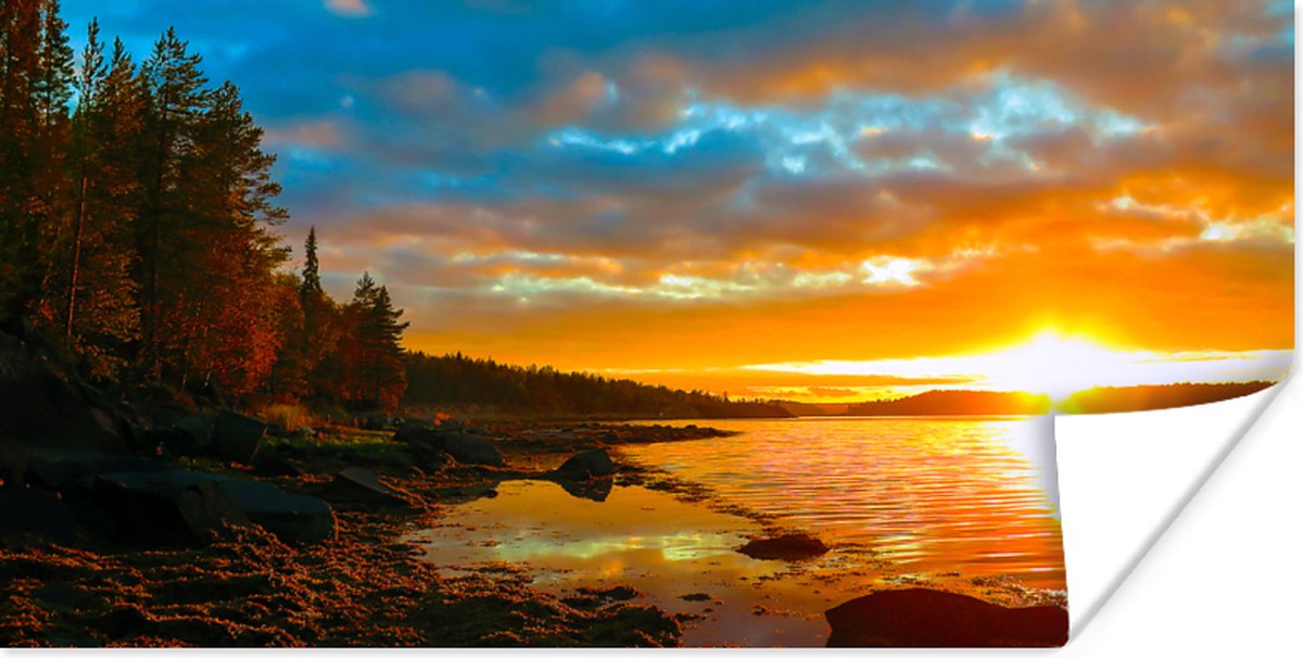 Poster Zon - Landschap - Water - Bomen - 120x60 cm