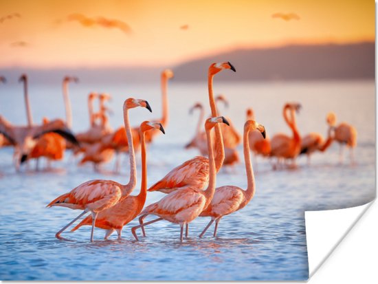 Poster - Fotolijst - Flamingo - Zonsondergang - Vogel - Tropisch - Kader - 40x30 cm - Poster frame - Poster flamingo - Poster dieren - Foto in lijst - Kamer decoratie