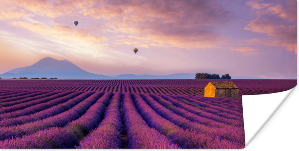 Poster Lavendel - Luchtballon - Berg - Paars - 150x75 cm