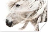 Close-up van de kop van een paard poster 90x60 cm - Foto print op Poster (wanddecoratie woonkamer / slaapkamer) / Boerderijdieren Poster