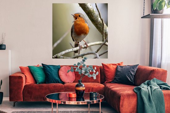 Affiche Robin sur une branche d'arbre 100x100 cm - Tirage photo sur Poster (décoration murale salon / chambre)