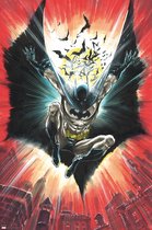 Poster DC Comics Batman Warner 100th 61x91,5cm