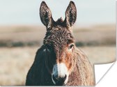 Affiche Âne - Portrait - Animal - 160x120 cm XXL