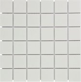 The Mosaic Factory Barcelona mozaïektegel 4.8x4.8x0.6cm voor wand en vloer voor binnen en buiten vierkant Keramiek Wit