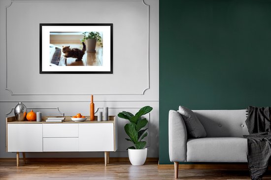 Chaton jouant avec un cadre photo piano noir avec passe-partout blanc 60x90