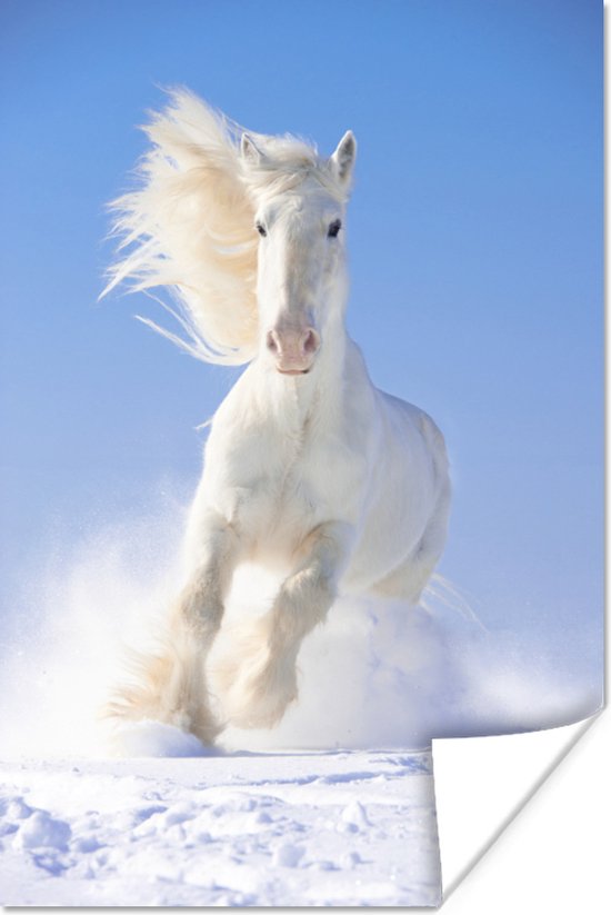 Poster Paard - Sneeuw - Winter - Manen - 60x90 cm